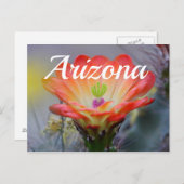 デザートイン開花アリゾナポストカード ポストカード (正面/裏面)