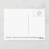 デザートイン開花アリゾナポストカード ポストカード (裏面)