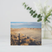 デザートウェーブ:ペトラファイドフォレスト国立公園の写真 ポストカード (スタンド正面)