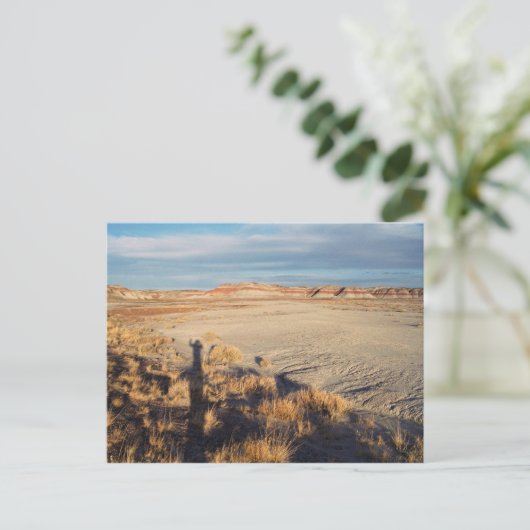 デザートウェーブ：ペトラファイドフォレスト国立公園の写真 ポストカード (スタンド正面)