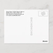 デザートウェーブ:ペトラファイドフォレスト国立公園の写真 ポストカード (裏面)