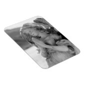 デザートエンジェル マグネット (右側)