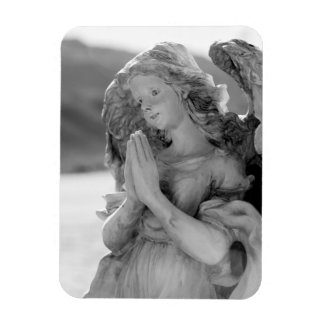 デザートエンジェル マグネット