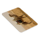 デザートカメルマグネット マグネット (右側)