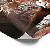 デザートカメ ポスター (角)