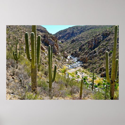 デザートキャニオン ポスター (正面)