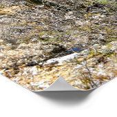 デザートキャニオン ポスター (角)