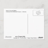 デザートコットンテールウサギ ポストカード (裏面)