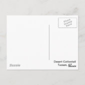 デザートコットンテールウサギ ポストカード (裏面)