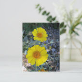 デザートゴールド ポストカード (スタンド正面)