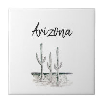 デザートサウスウェストカボスアリゾナ白黒