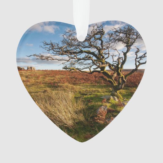 デザートサバンナ日付フォトカスタム オーナメント (正面)