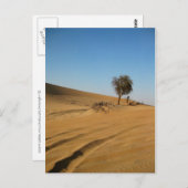 デザートサファリアブダビ ポストカード (正面/裏面)