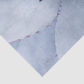 デザートサボスクローズアップデコページティッシュペーパー 薄葉紙 (詳細)