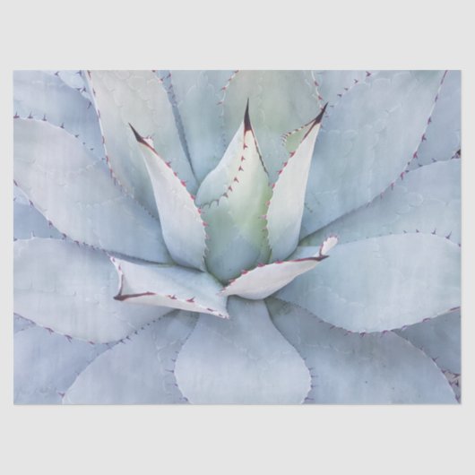 デザートサボスクローズアップデコページティッシュペーパー 薄葉紙 (正面)