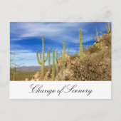 デザートサボテンの新しいアドレスの移動 案内ポストカード (正面)