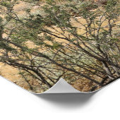 デザートサボテン16x20ポスタープリントウォールアートデコール ポスター (角)