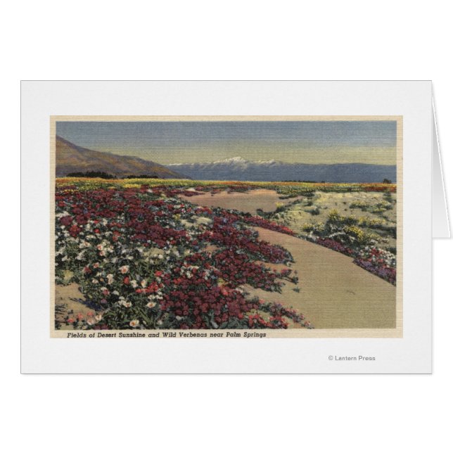 デザートサンシャイン&ワイルドヴェルベナスのフィールド (正面横)