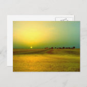 デザートサンライズコラージュ ポストカード (正面/裏面)