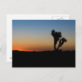 デザートサンライズ ポストカード (正面/裏面)