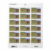 デザートシーンランドスケープ差出人住所 ラベル (フルシート)