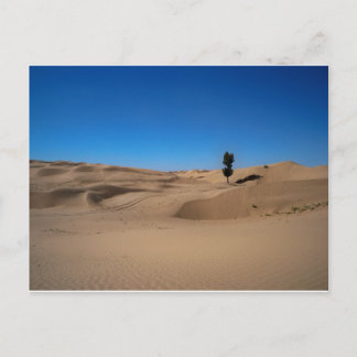 デザートツリー ポストカード