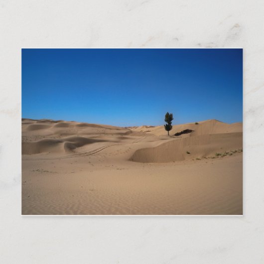 デザートツリー ポストカード (正面)