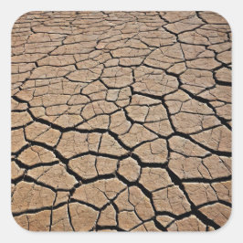 デザートテクスチャ スクエアシール