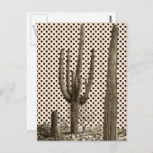 デザートディヴァ葉書 ポストカード (正面/裏面)