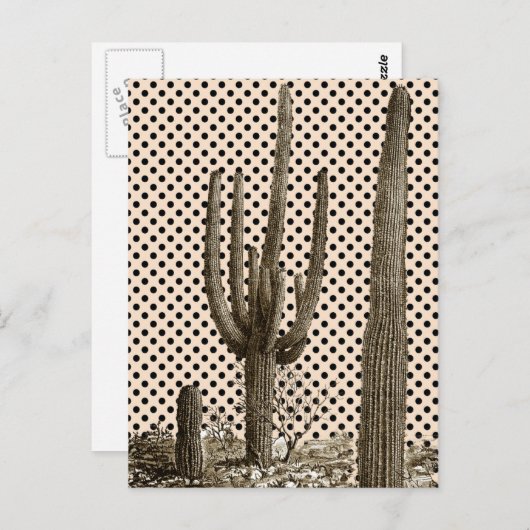 デザートディヴァ葉書 ポストカード (正面/裏面)