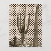 デザートディヴァ葉書 ポストカード (正面)