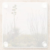 デザートドリームズニューメキシコアガベ&オコティージョ ガラスコースター (裏面)