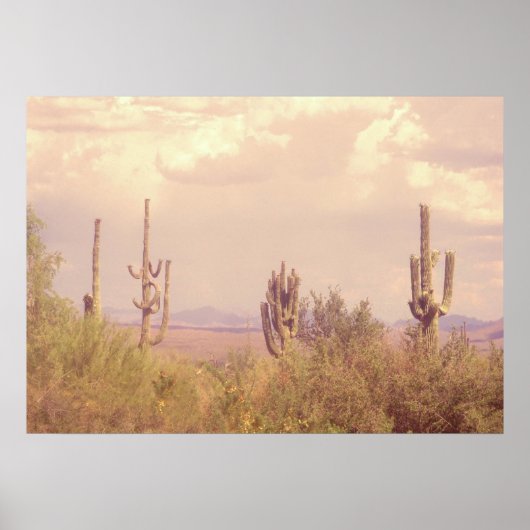 デザートドリームポスター ポスター (正面)