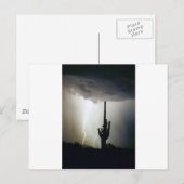 デザートハイランズ稲妻 ポストカード (正面/裏面)