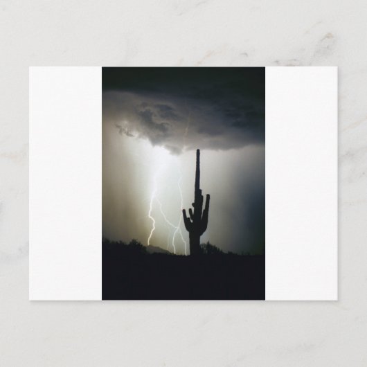 デザートハイランズ稲妻 ポストカード (正面)