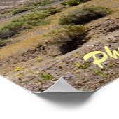 デザートヒル ポスター (角)