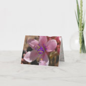 デザートピンク – ノートカード (裏面)