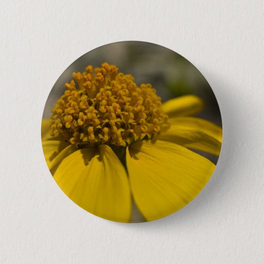 デザートブリットルブラシ丸ボタン 缶バッジ (正面)