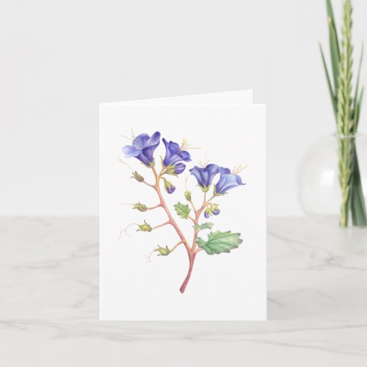 デザートブルーベル サンキューカード (正面)