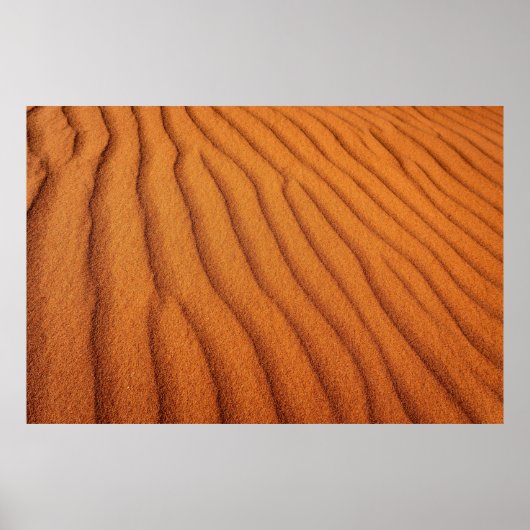 デザートランド ポスター (正面)