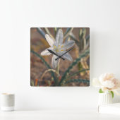 デザートリリーワイルドフラワーズ スクエア壁時計 (ホーム)