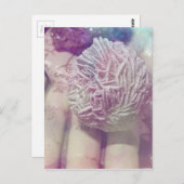 デザートローズ ポストカード (正面/裏面)