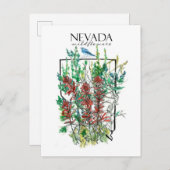 デザートワイルドフラワーズネバダインディアンペイントブラシ ポストカード (正面/裏面)