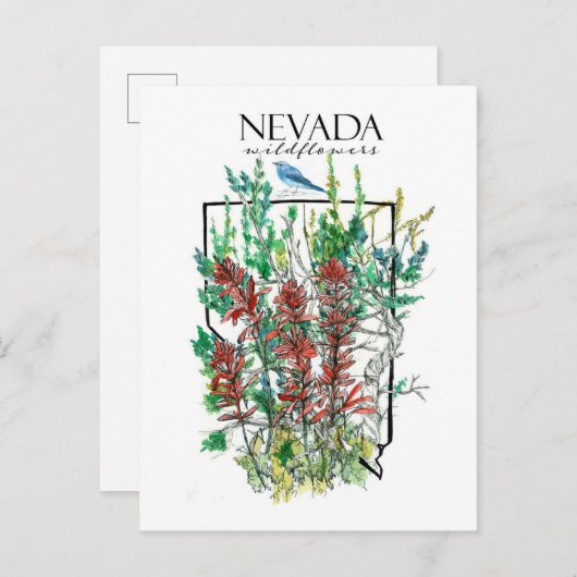デザートワイルドフラワーズネバダインディアンペイントブラシ ポストカード (正面/裏面)