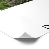 デザート開花 ポスター (角)