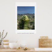 デザート開花 ポスター (キッチン)