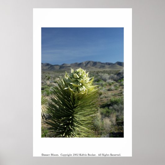 デザート開花 ポスター (正面)