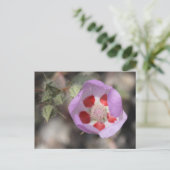 デザート5点葉書 ポストカード (スタンド正面)