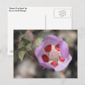 デザート5点葉書 ポストカード (正面/裏面)