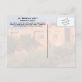 デザー絵を描トインピトリファイドフォレストNP, AZ ポストカード (裏面)